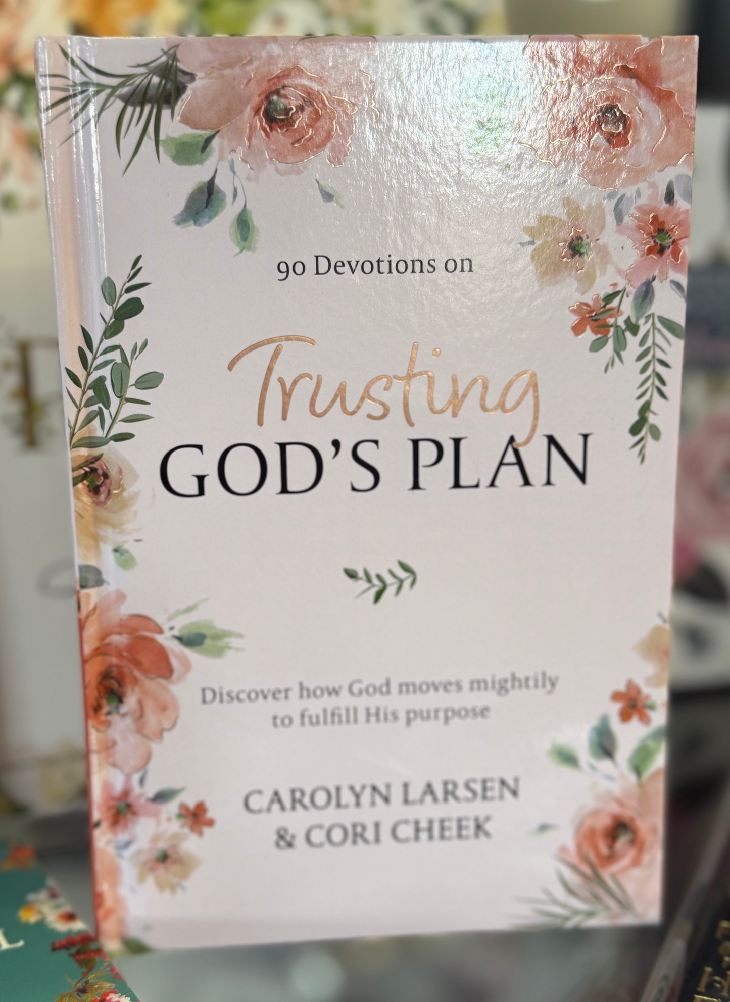 90 Devotions on Trusting God's Plan