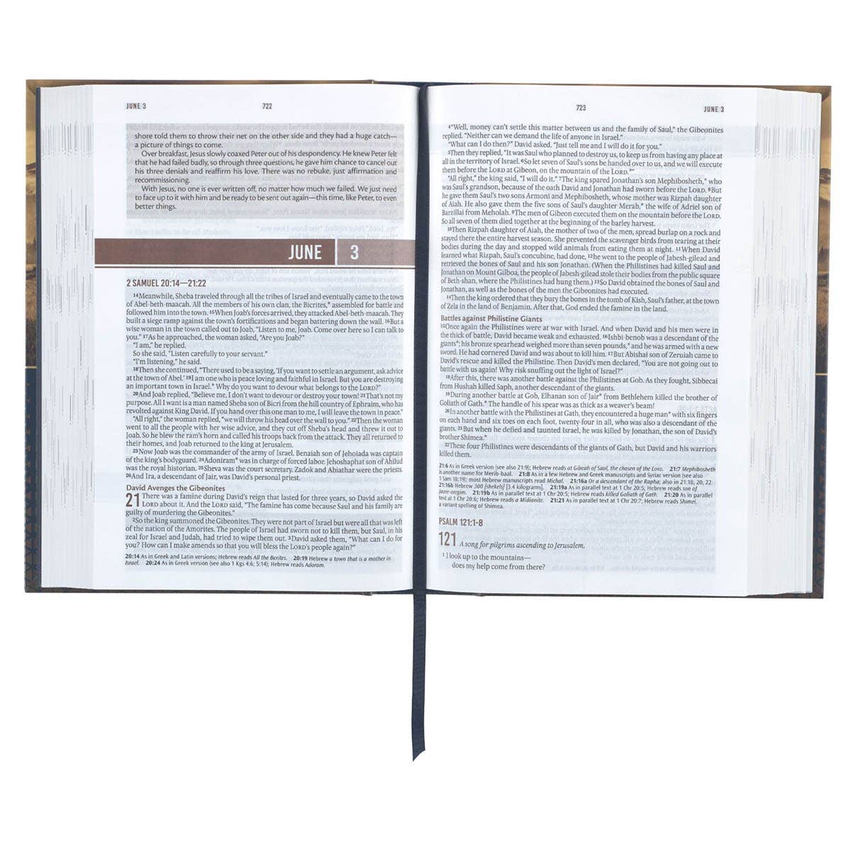 Devotional Bible NLT for Men Hardcover, Clouds