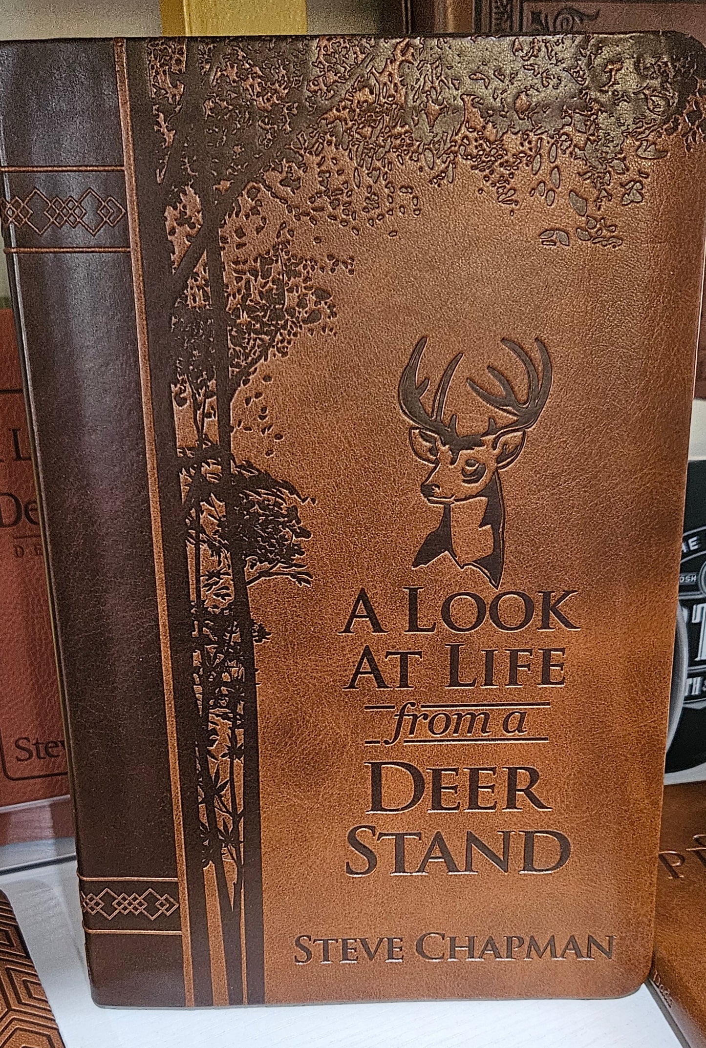 A Look At Life from a Deer Stand