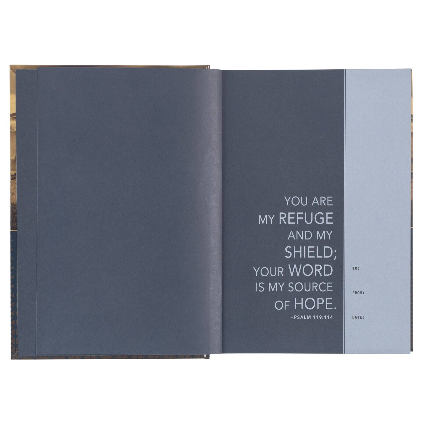 Devotional Bible NLT for Men Hardcover, Clouds