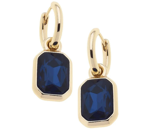 Reagan Rhinestone Drop Hoop Earrings
