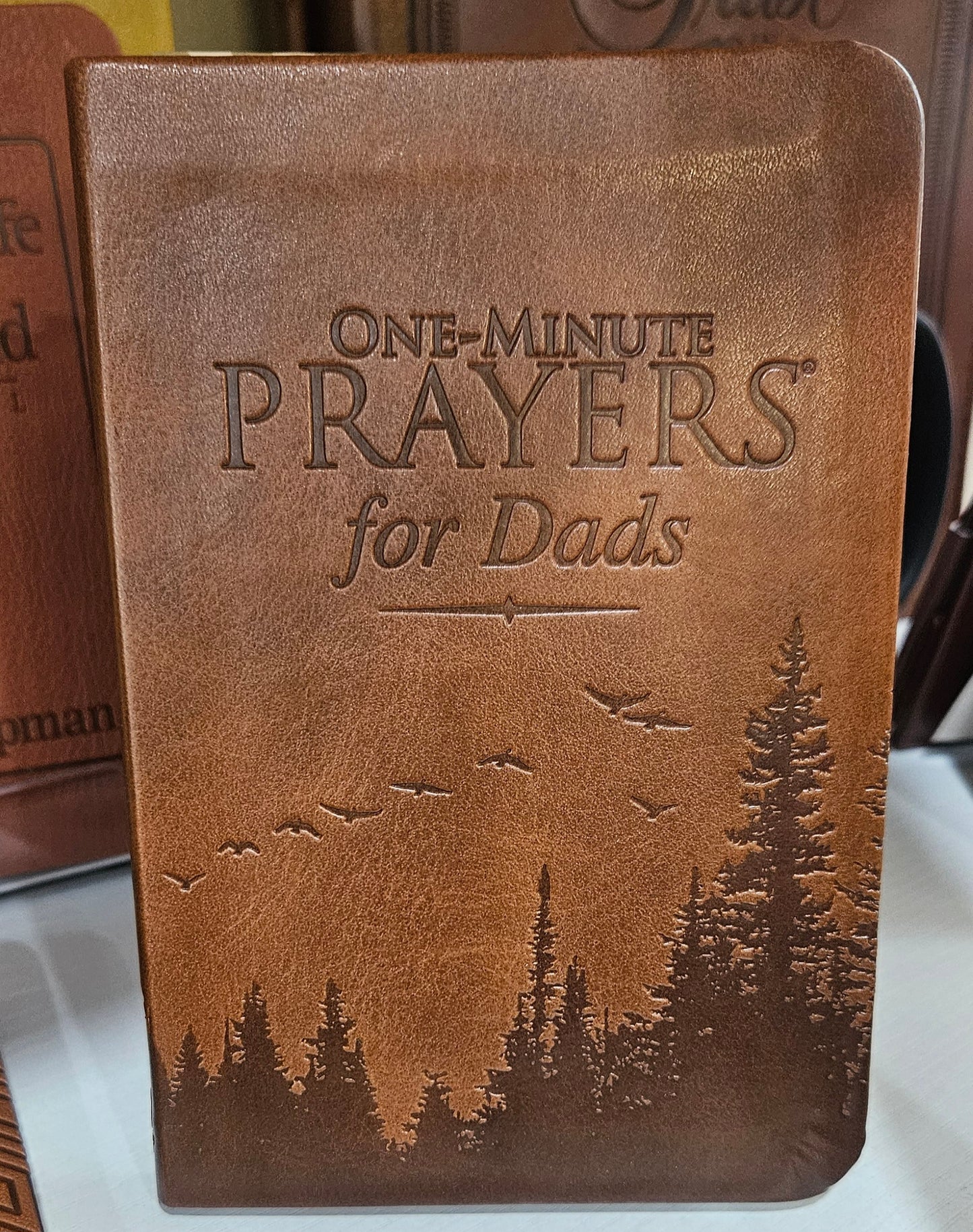 One-Minute Prayers for Dads